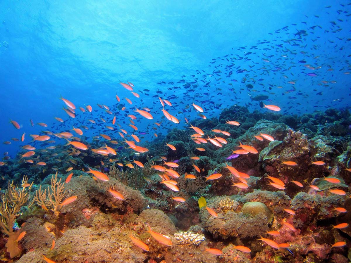 visit corfu scuba diving